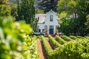 DEGUSTAZIONE NELLA STORICA TENUTA DI GROOT CONSTANTIA 04/08